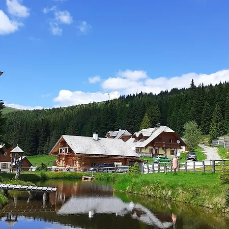Lachtalhuette Holiday home *